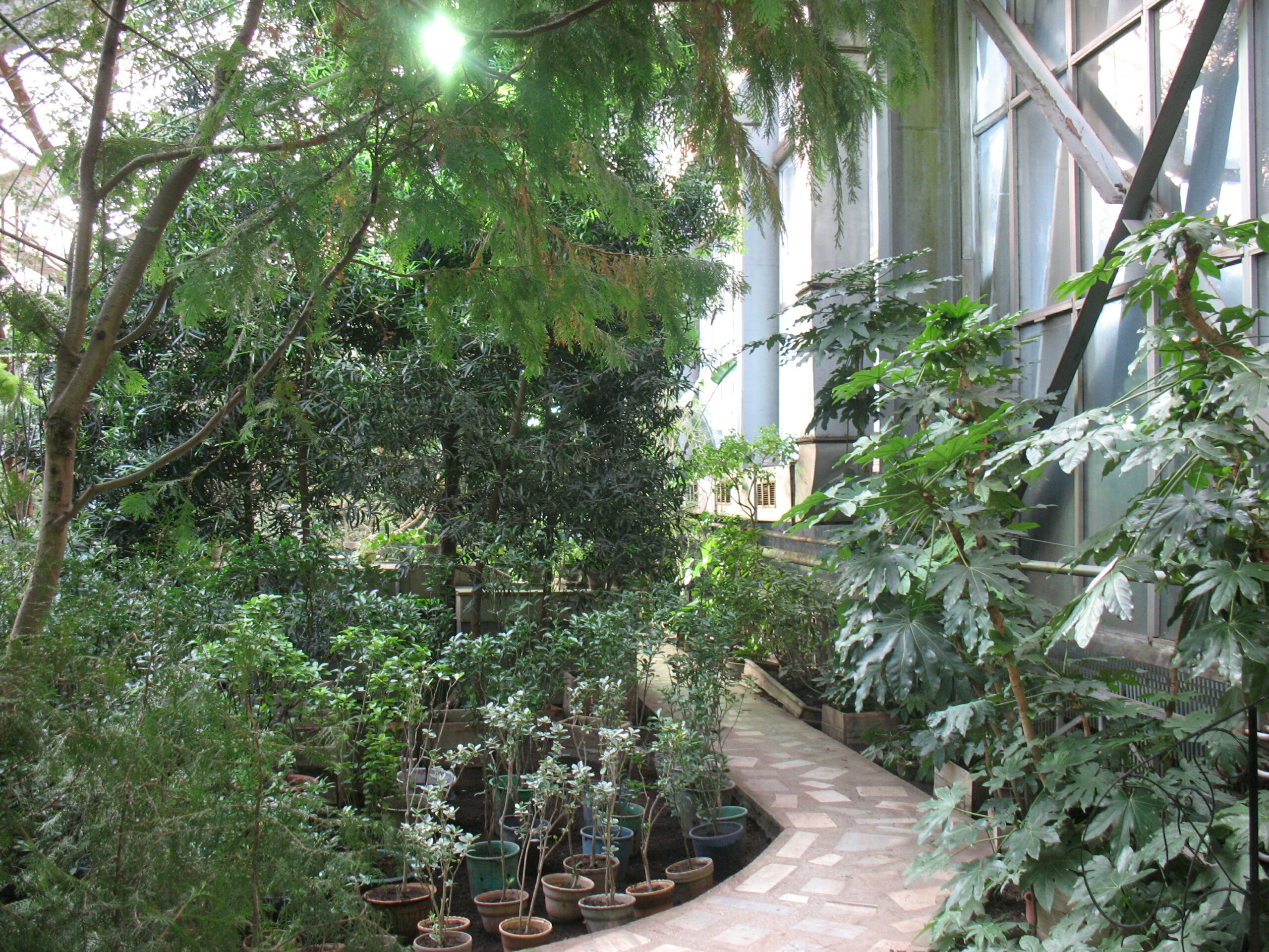 Miejski Ogród Botaniczny w Zabrzu